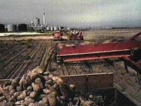 B41296.JPG