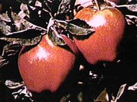 B41234.JPG