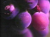 B40285.JPG