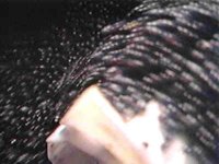 B37202.JPG