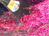B36508.JPG
