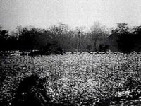 B19749.JPG