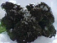 405100.JPG