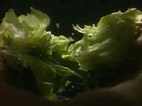 403400.JPG