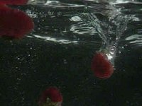 403100.JPG