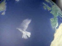 205000.JPG