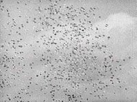 B25909.JPG