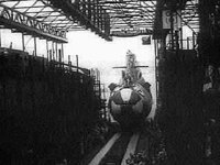 B20541.JPG