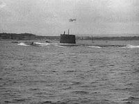 B20363.JPG