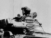 B19196.JPG