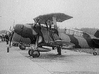 B15117.JPG