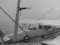 B13281.JPG