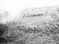 B21011.JPG