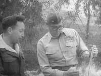 B20441.JPG