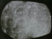 10074987.JPG