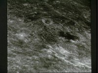 10074978.JPG