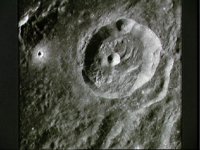 10074977.JPG