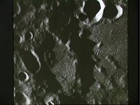 10074976.JPG