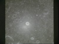 10074975.JPG