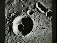 10074974.JPG