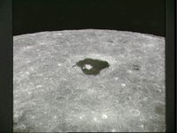 10074971.JPG