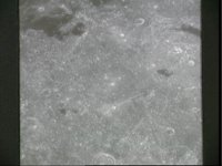 10074970.JPG