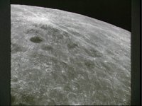 10074969.JPG