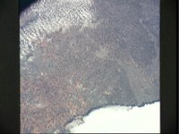 10075061.JPG