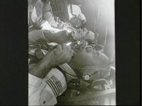 10075029.JPG