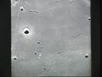 10075149.JPG