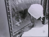 10075335.JPG
