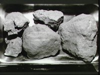10075330.JPG