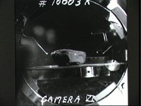 10075323.JPG
