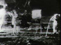 10075290.JPG