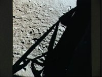 10075277.JPG