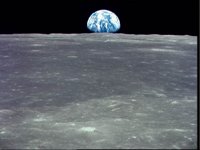 10075247.JPG