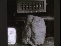 10075438.JPG