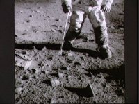 10075420.JPG