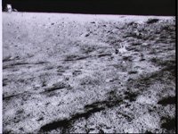 10075417.JPG