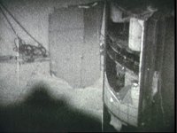 10075552.JPG