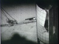 10075551.JPG