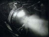 10075550.JPG