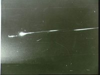 10075539.JPG