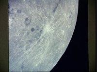 10075510.JPG