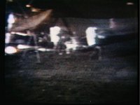 10075642.JPG