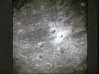10075632.JPG