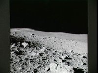 10075624.JPG