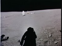 10075620.JPG
