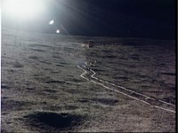 10075616.JPG