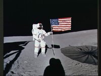 10075609.JPG